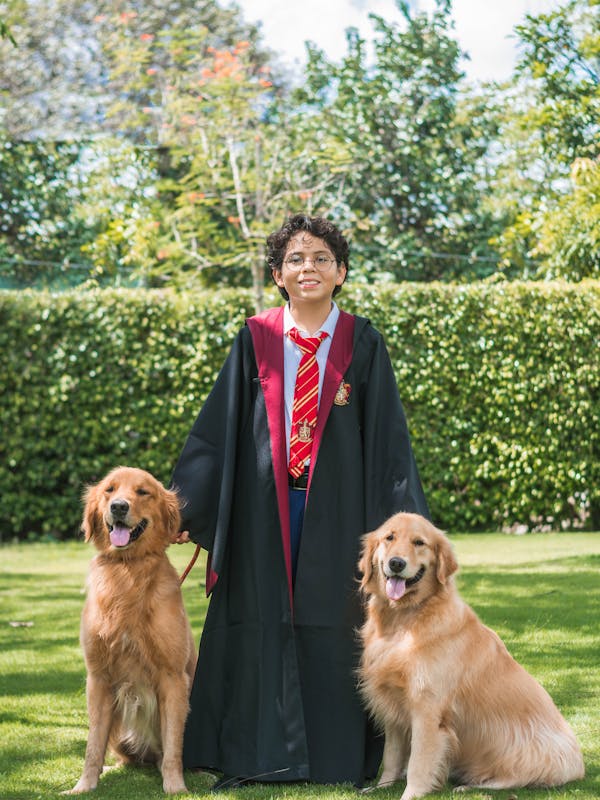 Golden Retriever Puppies For Sale